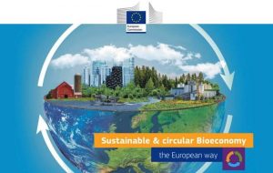 Sustainable & Circular Bioeconomy, the European Way